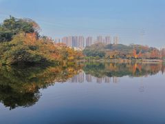 -重庆彩云湖湿地公园