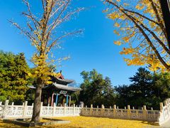 -晋祠公园