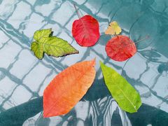 -天毓山庄·餐厅