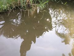 -海珠儿童公园