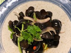 -成都世纪城假日酒店-西楼