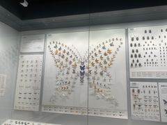 -四川大学博物馆