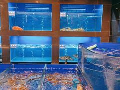 水产区-金时代顺风大酒店(临港百联店)