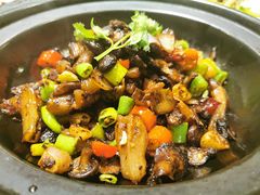 -鸡毛店·川菜(双楠店)