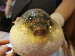 -永安鱼庄·镇江菜(丁卯店)