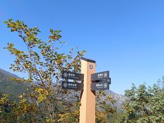 -鹫峰国家森林公园