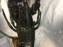 -盒马鲜生(大成店)