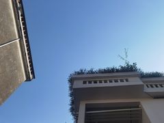 -漫笙舍Manse·咖啡·民宿