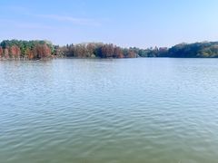 -海珠湖公园