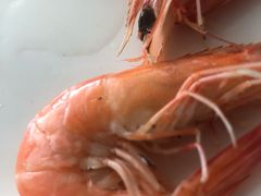 -田源农家饭店·窑鸡王·海鲜(东部湾·融创店)