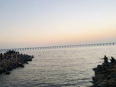 -宝安西湾红树林湿地公园