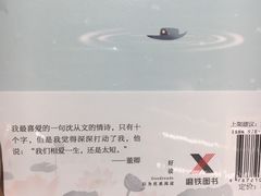 -猫的天空之城概念书店(束河店)
