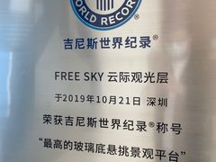 -平安金融中心云际观光层