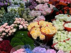-双季花艺园艺市场(浦东店)