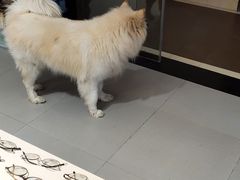 -肆兮眼镜·蔡司·徕卡战略合作店(大坪店)