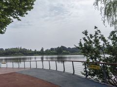 -东郊湿地公园
