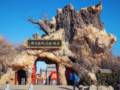 -大槐树寻根祭祖园