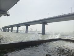-星海湾跨海大桥