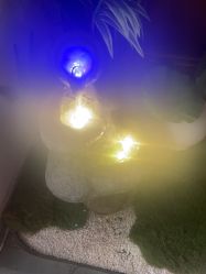 -禾壹净·素颜美问题肌肤修护中心