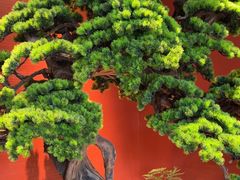 -阿伟海鲜楼·福建菜(延寿店)