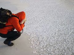 -塞罕坝国家级自然保护区