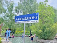 -灵山莲花公园-温泉度假区