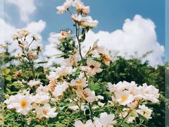 -人民公园(罗湖区)