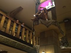 -信不信由你博物馆