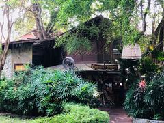 门面-卷心菜和避孕套餐厅(Pattaya)