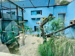 -青藏高原野生动物园