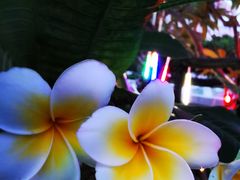 -三亚湾海居铂尔曼度假酒店