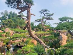 -罗红摄影艺术馆