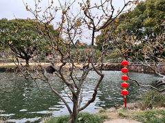 -无锡梅园公园
