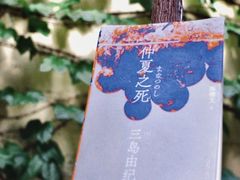 -懒鱼时光馆(沙坪坝店)
