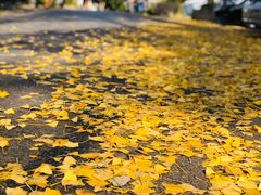 -天真蓝照相馆(杭州滨江宝龙店)