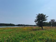 -海珠湖公园