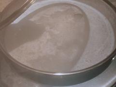-淘米捞·米汤脆鲩鱼火锅(福田皇岗店)