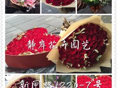 -静岸花卉园艺(三星坊店)