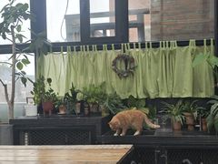 -北马山庄植趣咖啡