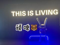 -顽啤熊·酒客酒馆(苏城夜景必选店)