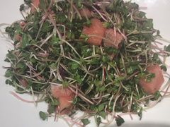 -和源祥·日照菜扛把子(万平口一店)