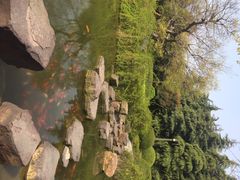 iphone_upload_pic-凤城河风景区
