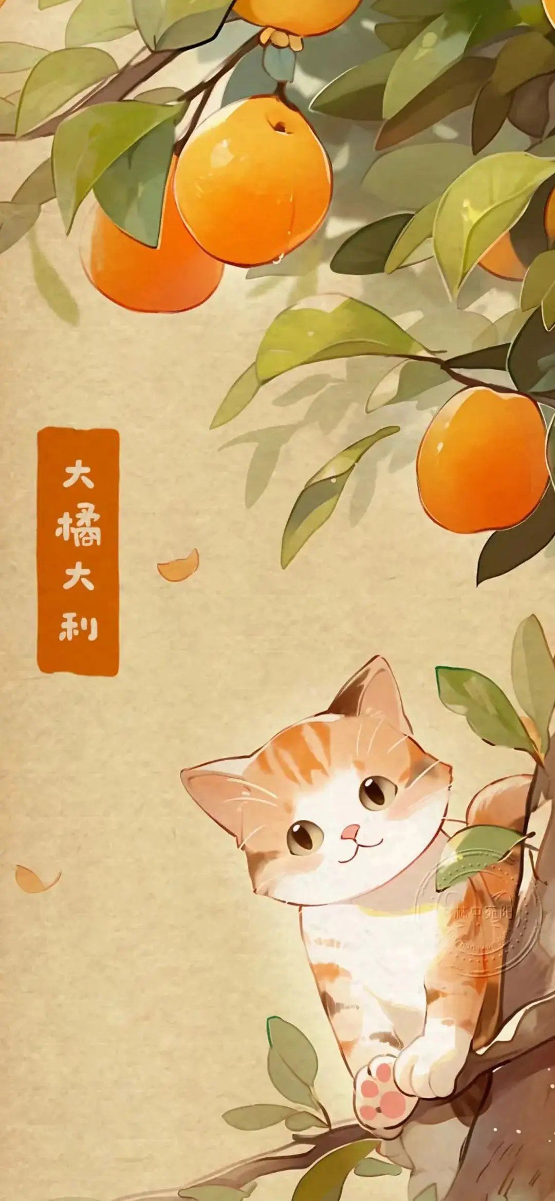 好看猫猫壁纸送给你,新年大橘大利!