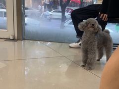 -艾贝尔宠物医院 ·中兽医·宠保定点(北门桥店)