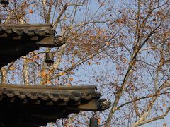 -钱王祠