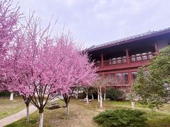 -堤角公园