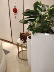 -丽美妍医疗美容·皮秒·立体分层抗衰