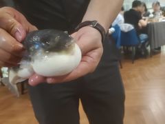 -肆月河豚·新淮扬(金融街店)