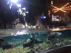 -暹罗海洋世界