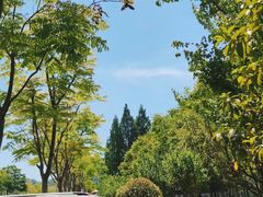 -青龙山国家森林公园